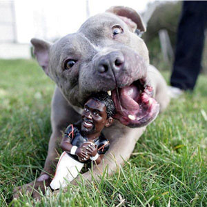 Michael Vick, Dog Toy Michael Vick, Dog Toy